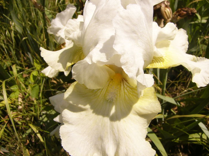 P1240502