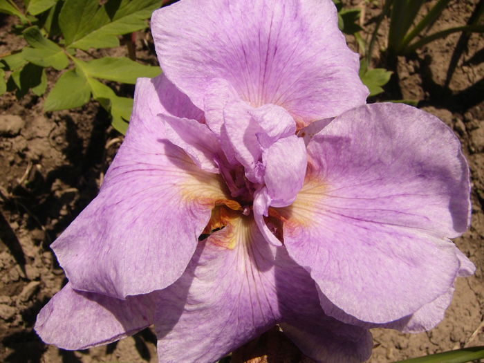 P1240506