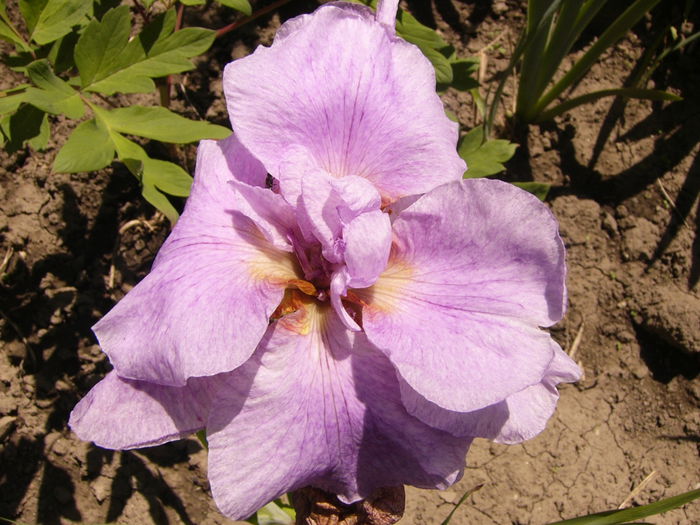 P1240507
