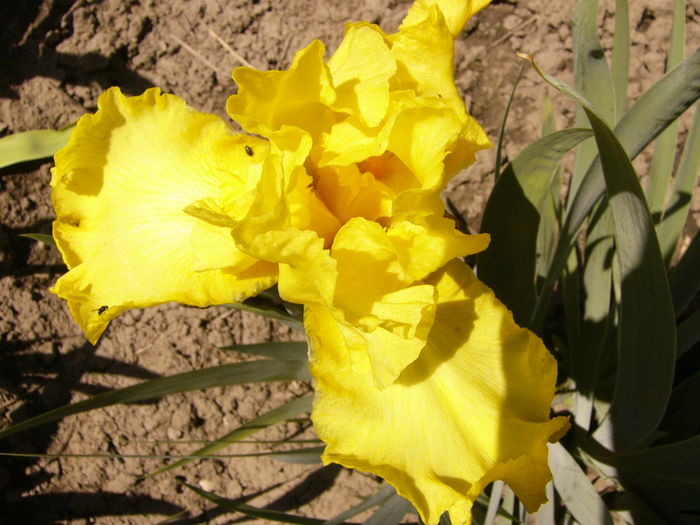 P1240508