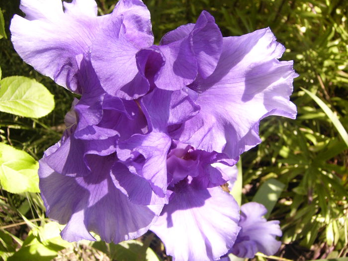 P1240517