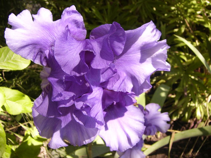 P1240518