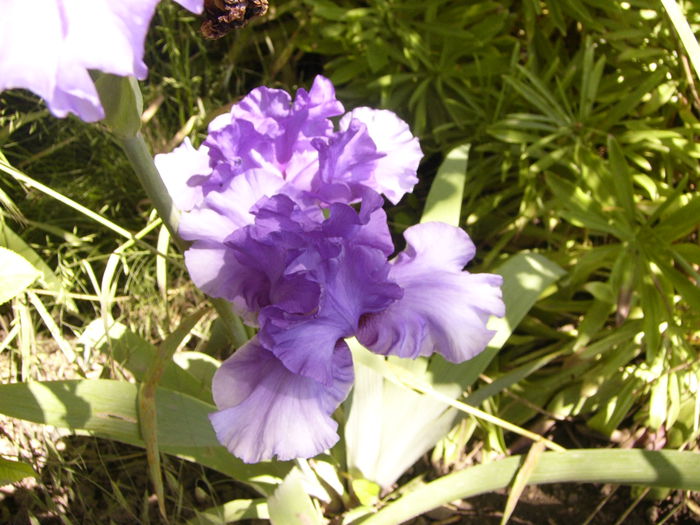 P1240519