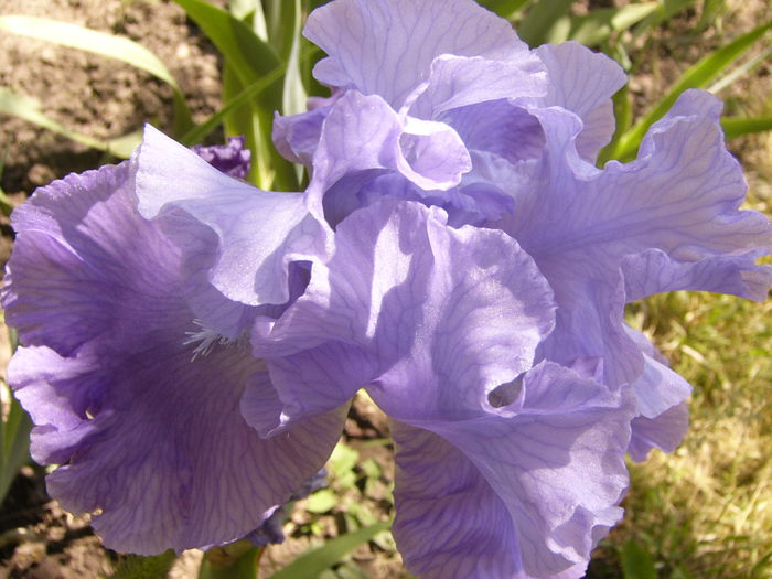 P1240521