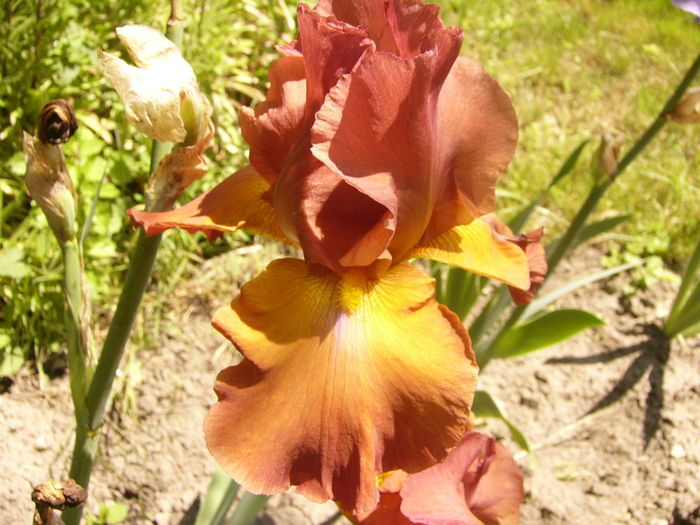 P1240522