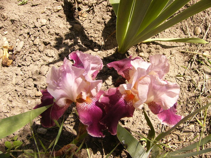P1240526