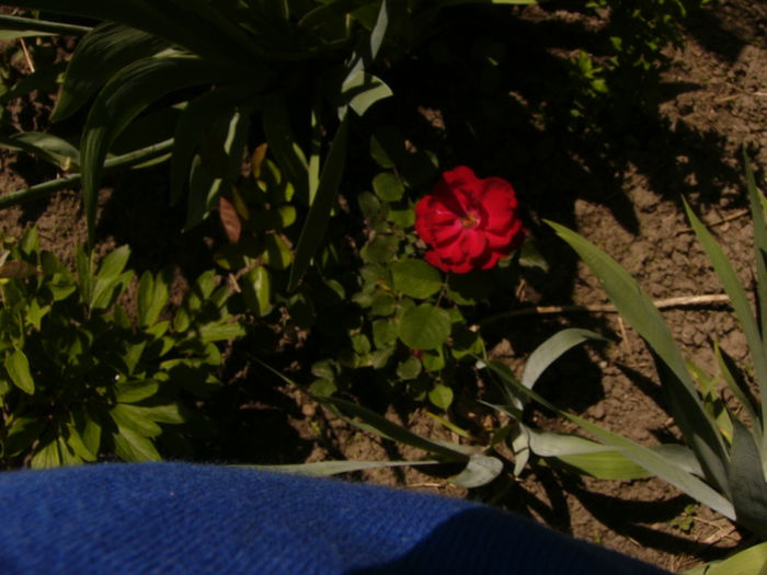 P1240531