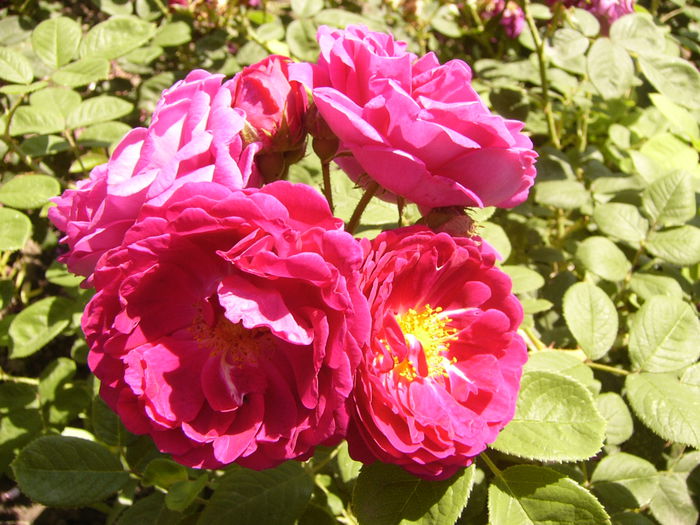 P1240536