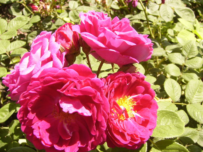 P1240537
