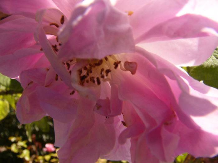 P1240538