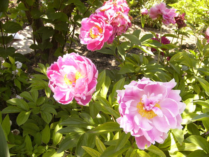 P1240539