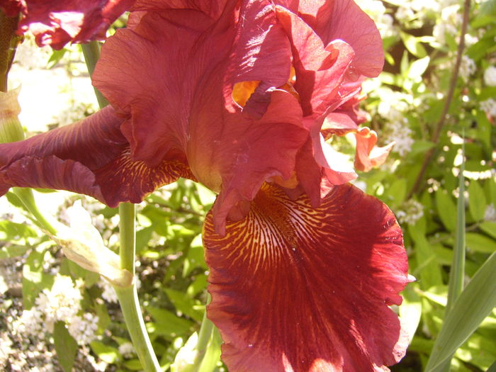 P1240542