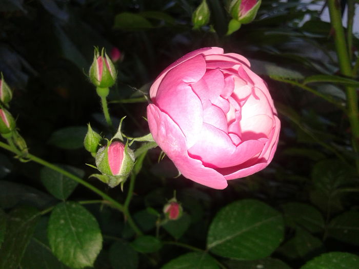 20150531_193622