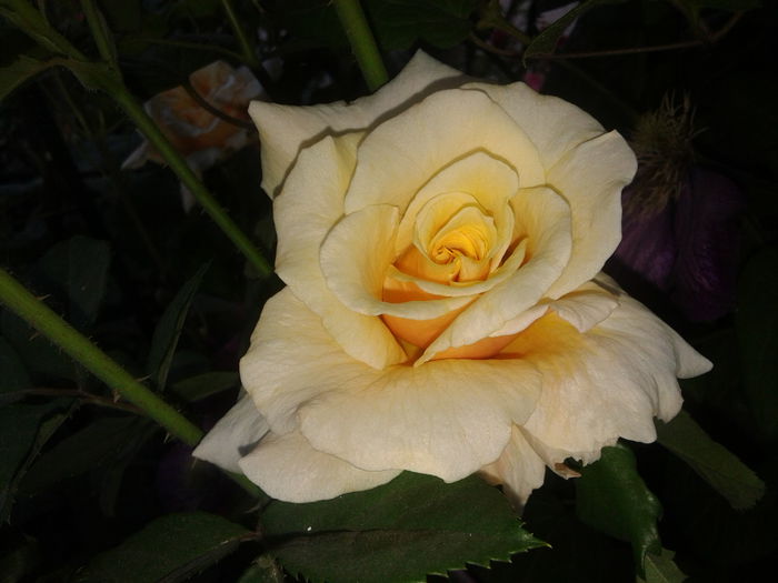 20150531_193650
