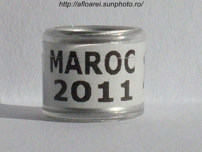maroc 2011 alb