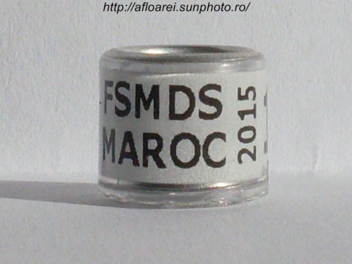 fsmds maroc 2015