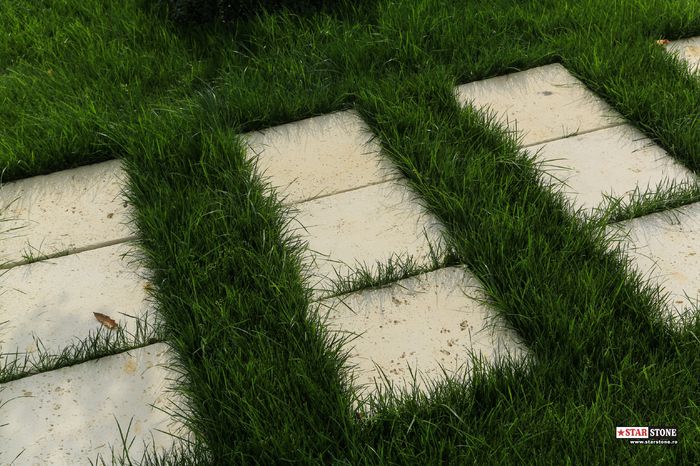 Poze-Dale-Pavaj-Star-Stone-p061