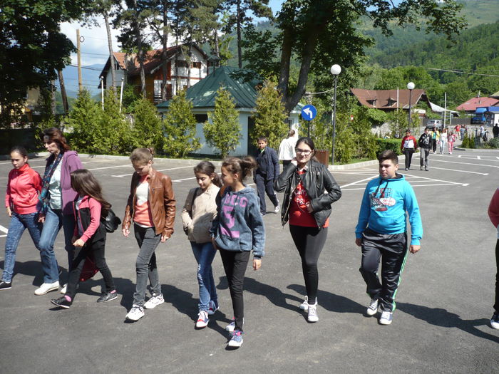 P1130485 - 2015 - 29-31 mai excursie