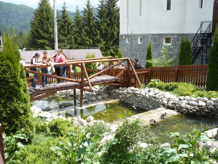 P1130509 - 2015 - 29-31 mai excursie