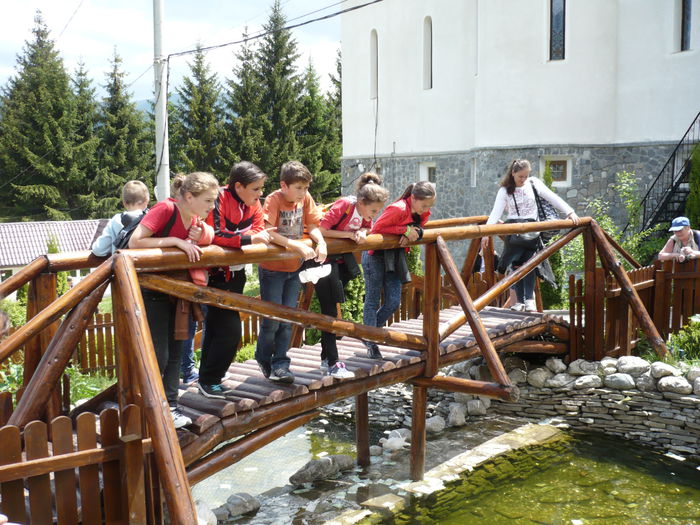 P1130511 - 2015 - 29-31 mai excursie