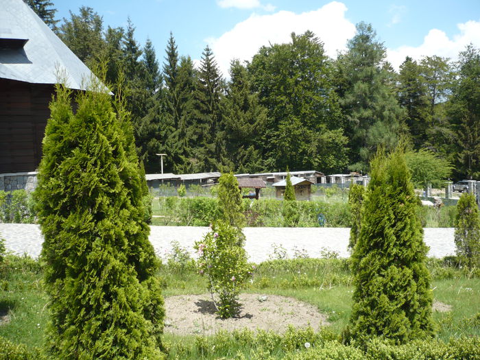 P1130516 - 2015 - 29-31 mai excursie