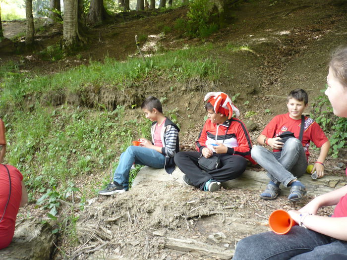 P1130523 - 2015 - 29-31 mai excursie