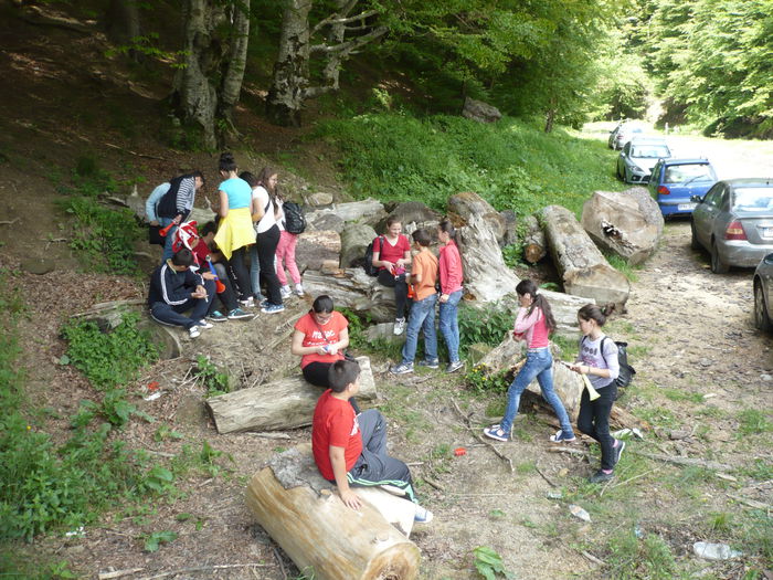 P1130527 - 2015 - 29-31 mai excursie