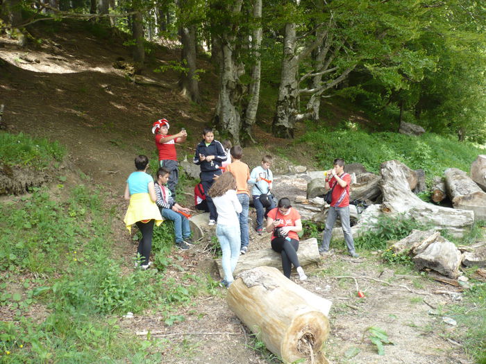 P1130534 - 2015 - 29-31 mai excursie