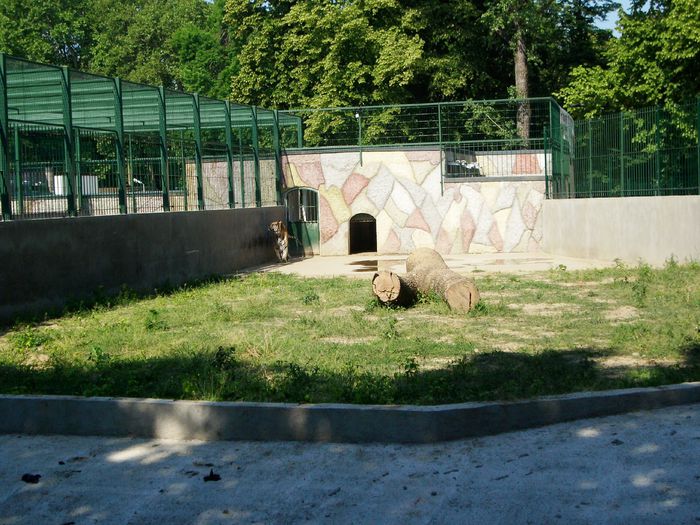 Parcul Bibescu 2015 014 - Parcul Romanescu 1 iunie 2015- BIBESCU