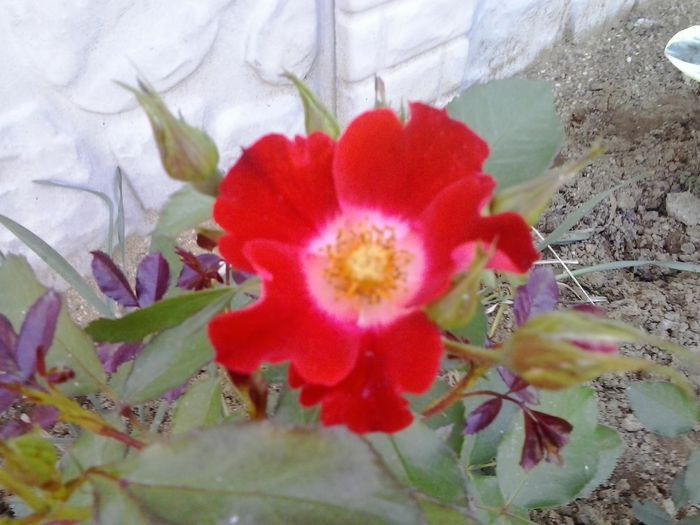 20150530_155519