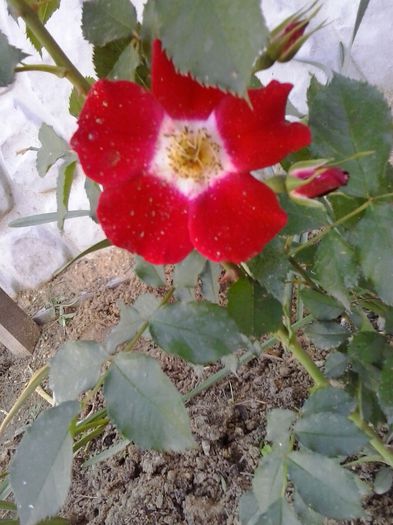 20150530_155553