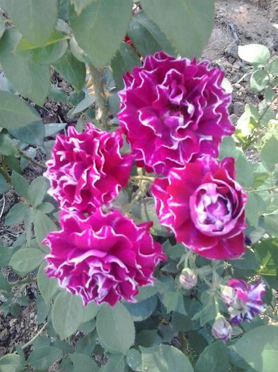 20150530_180749