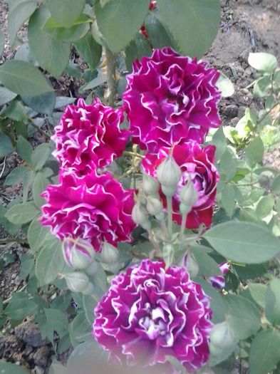 20150530_180754