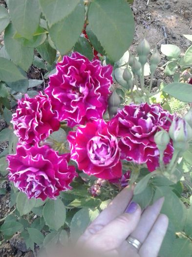 20150530_180804