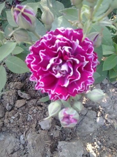 20150530_180818