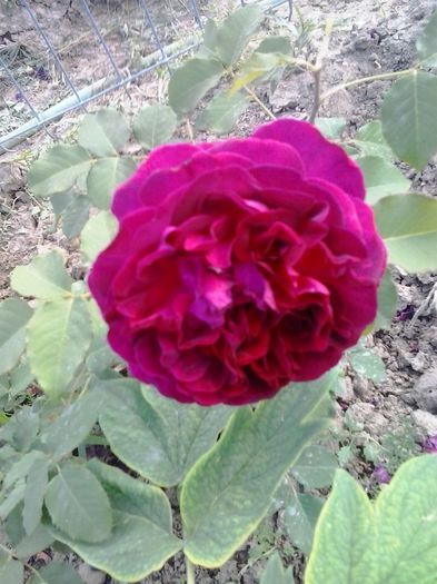 20150530_193509