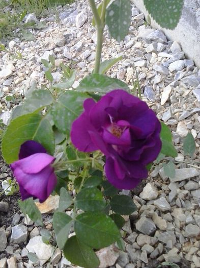 20150530_193934