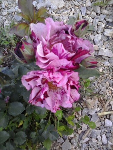 20150530_194010