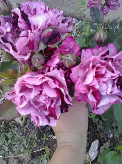 20150530_194030