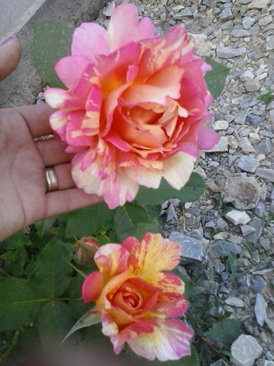 20150530_194109