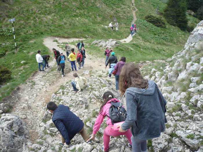 P1130713 - 2015 - 29-31 mai excursie