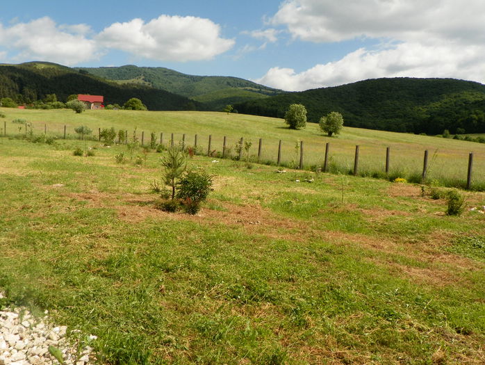 29 mai 094 - z-Dobarland 2015