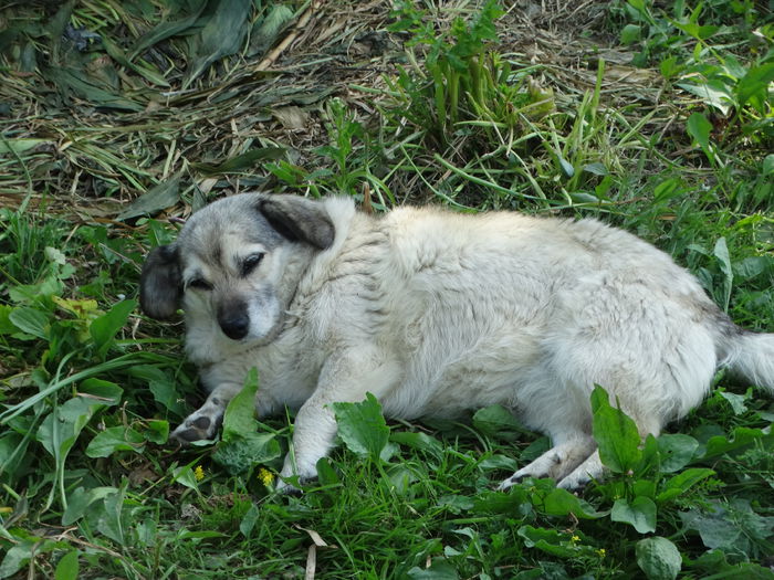 DSC06686