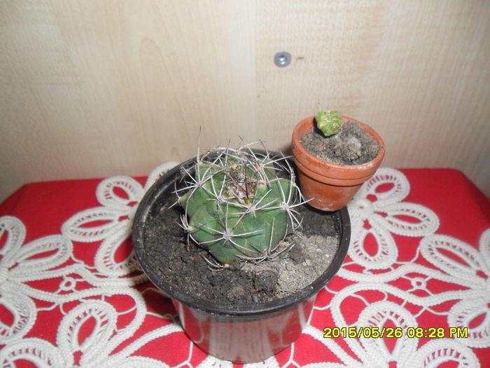 SAM_9680