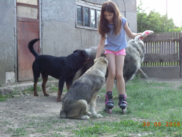DSC04065
