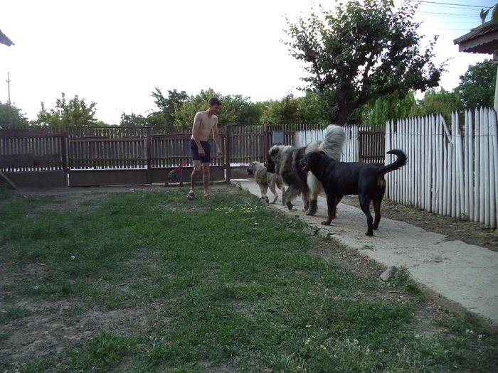 DSC04078