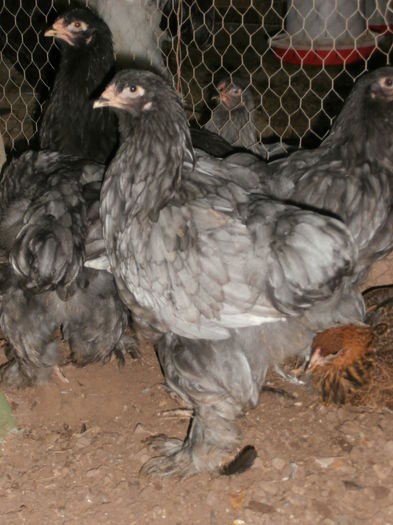 P5310051