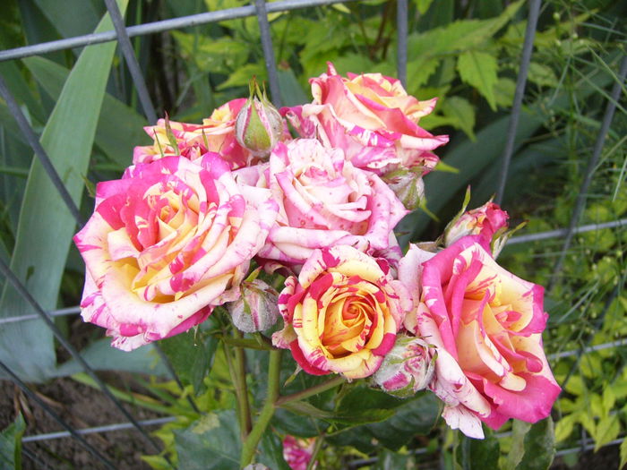 P1240547
