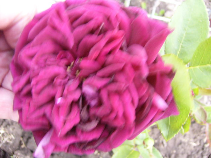 P1240576