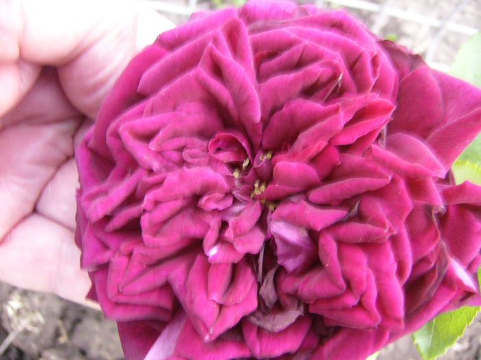 P1240577